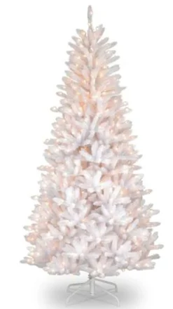 5Ft - 6Ft-National Tree Company 6 1/2' Asbury White Fir Slim