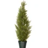 National Tree Company Potted Plants^36" Artificial Arborvitae Tree In Growers Pot