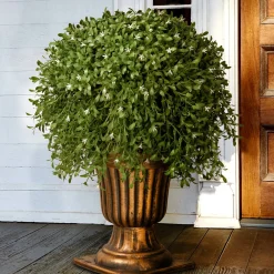 Topiaries / Shurbs-National Tree Company 26" Artificial Argentea Plant