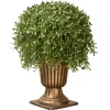 National Tree Company Topiaries / Shurbs^26" Artificial Argentea Plant