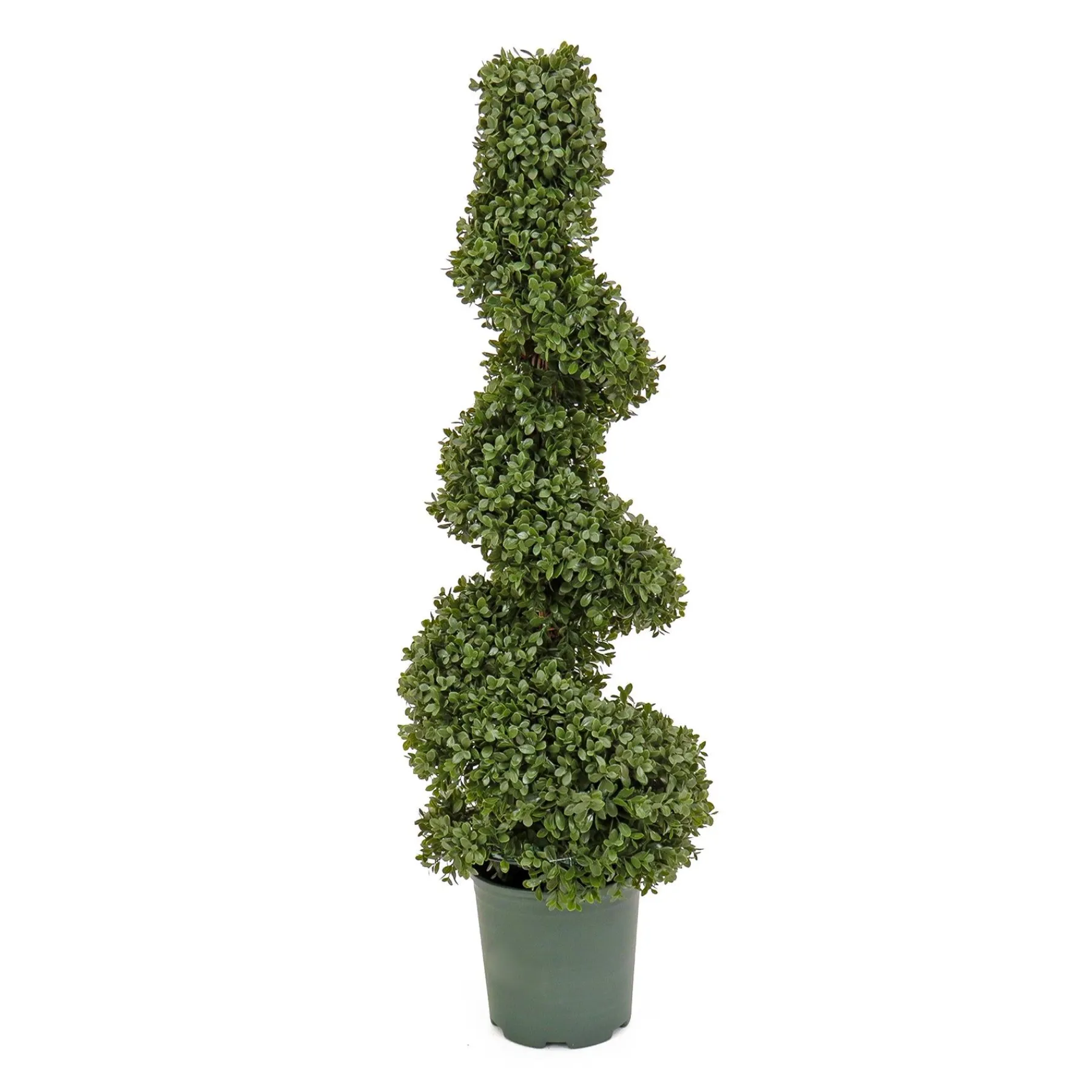 Topiaries / Shurbs-National Tree Company 44" Artificial Boxwood Spiral Topiary