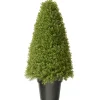 National Tree Company Topiaries / Shurbs^36" Artificial Boxwood Tree