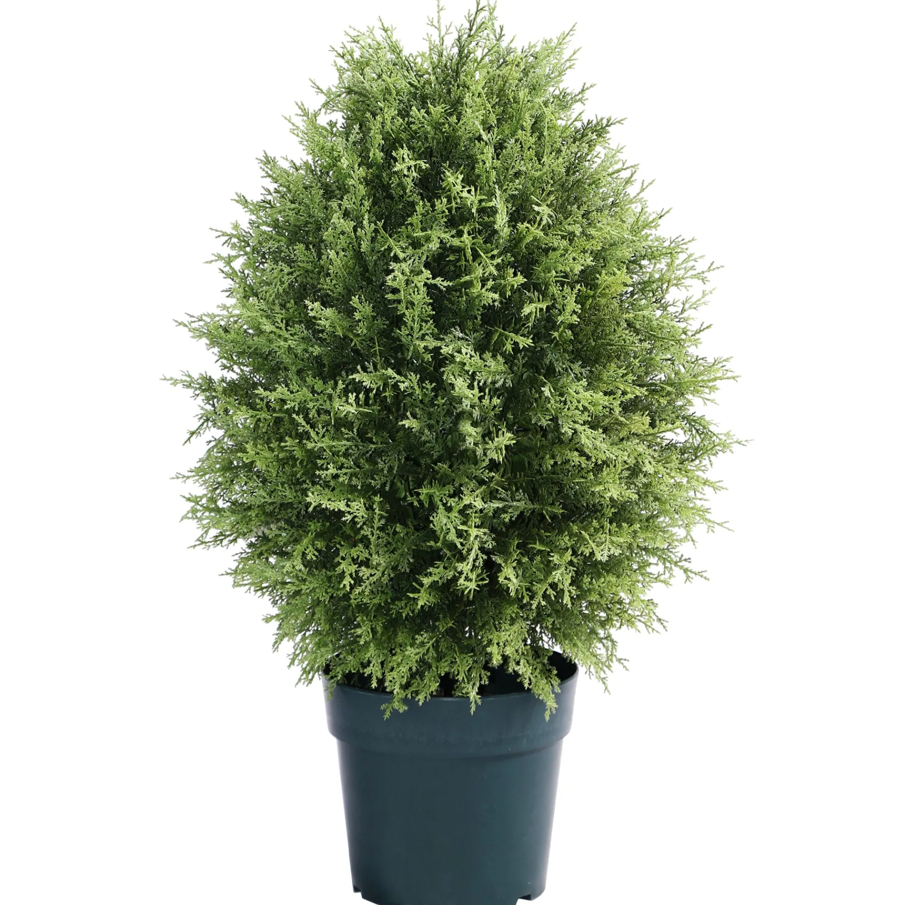 National Tree Company Topiaries / Shurbs^26" Artificial Cypress Tree In Growers Pot