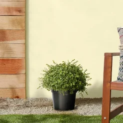 Topiaries / Shurbs-National Tree Company 15" Artificial Mini Tea Leaf Bush In Growers Pot