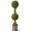 National Tree Company Topiaries / Shurbs^60" Artificial Mini Tea Leaf Two-Ball