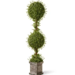 National Tree Company Topiaries / Shurbs^60" Artificial Mini Tea Leaf Two-Ball