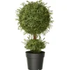 National Tree Company Potted Plants^30" Artificial Mini Tea Leaf One-Ball