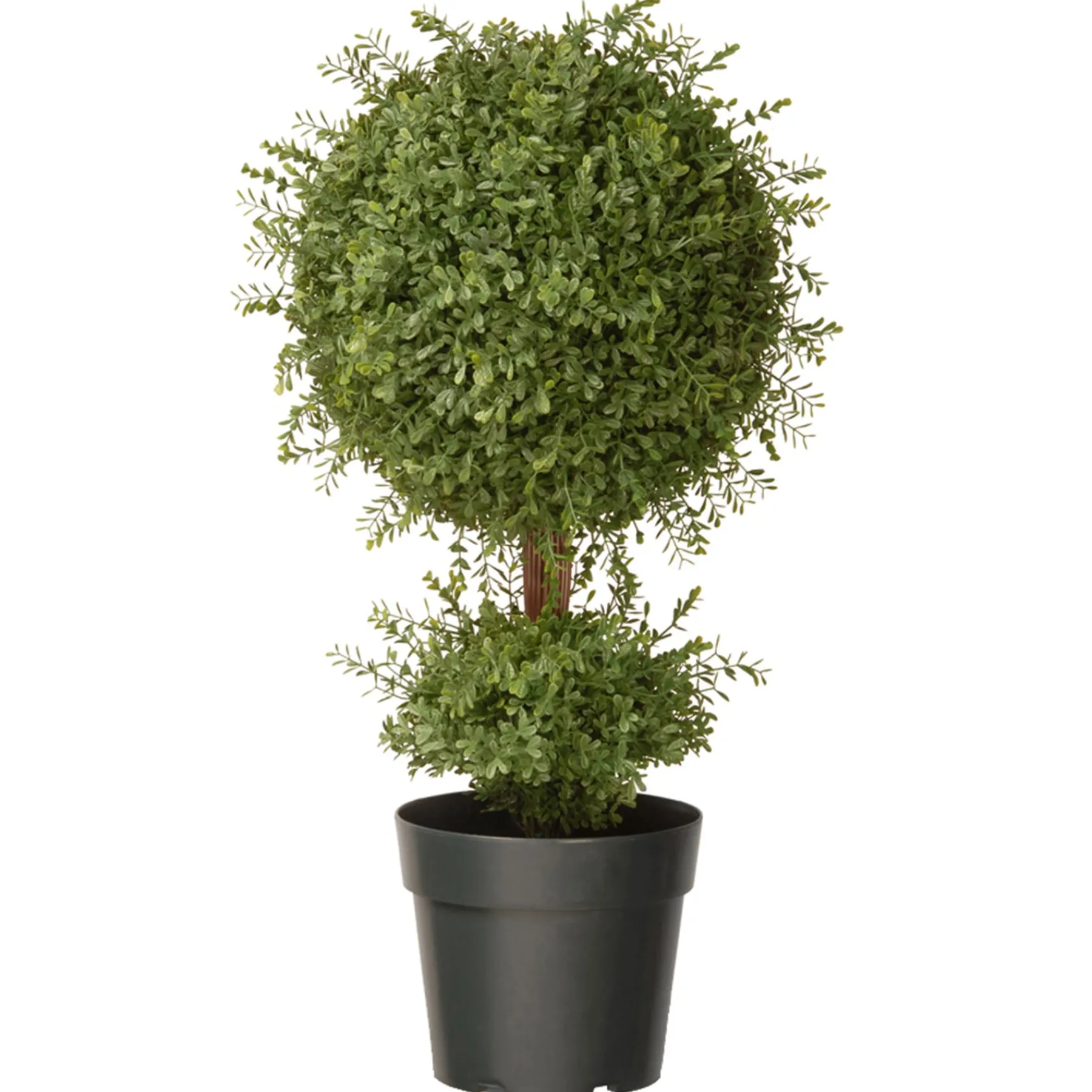 National Tree Company Potted Plants^30" Artificial Mini Tea Leaf One-Ball