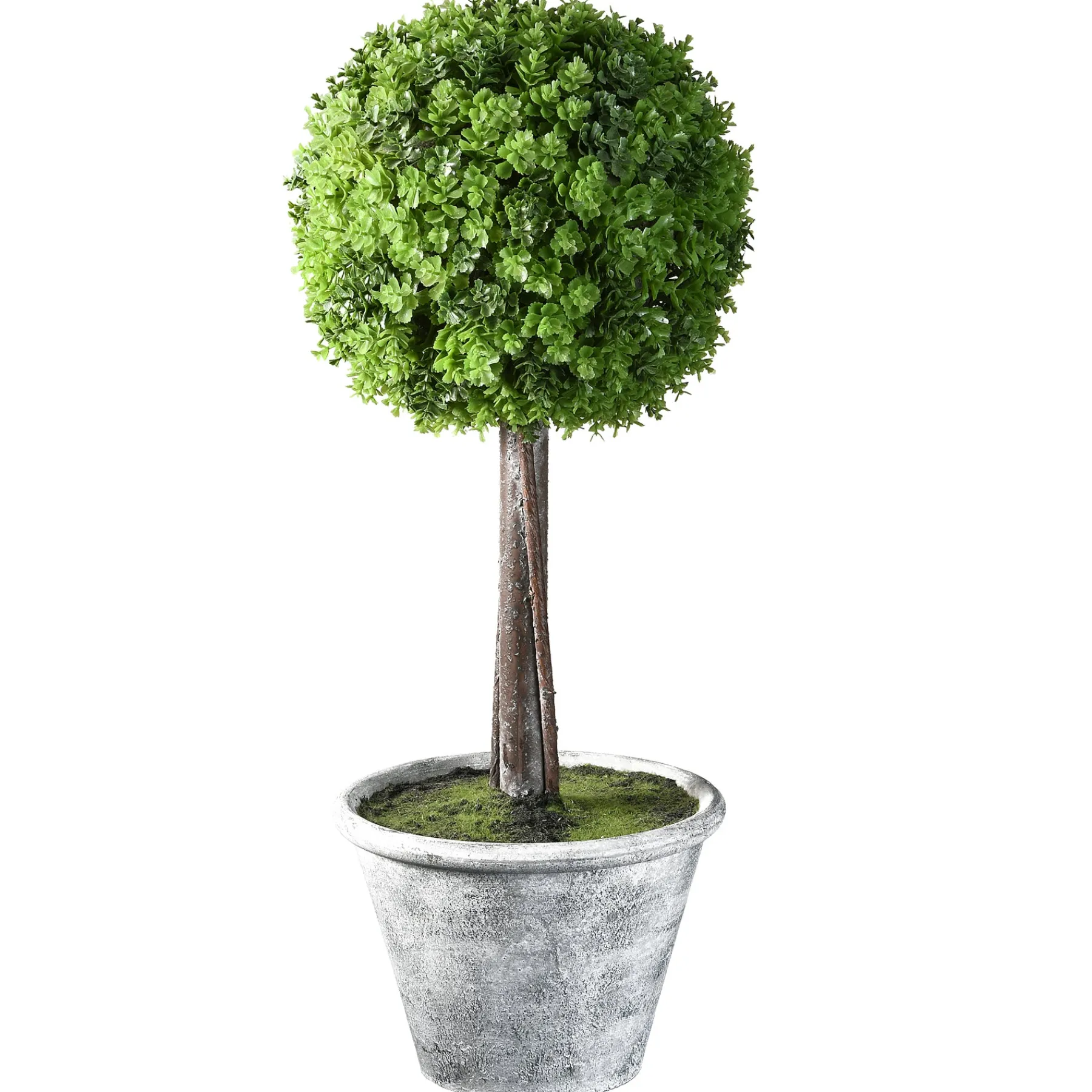 National Tree Company Potted Plants^18" Artificial Single Ball Topiary