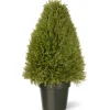 National Tree Company Potted Plants^30" Artificial Upright Juniper In Growers Pot