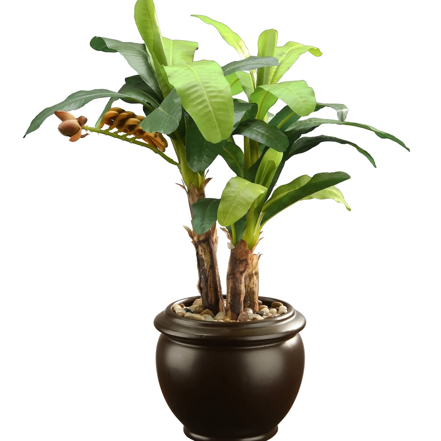 National Tree Company Potted Plants^18" Banana Plant