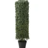 Topiaries / Shurbs-National Tree Company 36" Boxwood Column Topiary