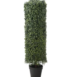Topiaries / Shurbs-National Tree Company 36" Boxwood Column Topiary