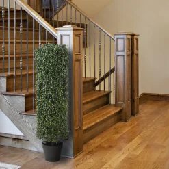 Topiaries / Shurbs-National Tree Company 36" Boxwood Column Topiary