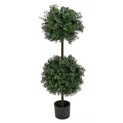Topiaries / Shurbs-National Tree Company 46" Boxwood Double Ball Topiary In Nursery Pot