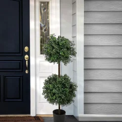 Topiaries / Shurbs-National Tree Company 46" Boxwood Double Ball Topiary In Nursery Pot