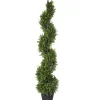 National Tree Company Topiaries / Shurbs^48" Boxwood Spiral