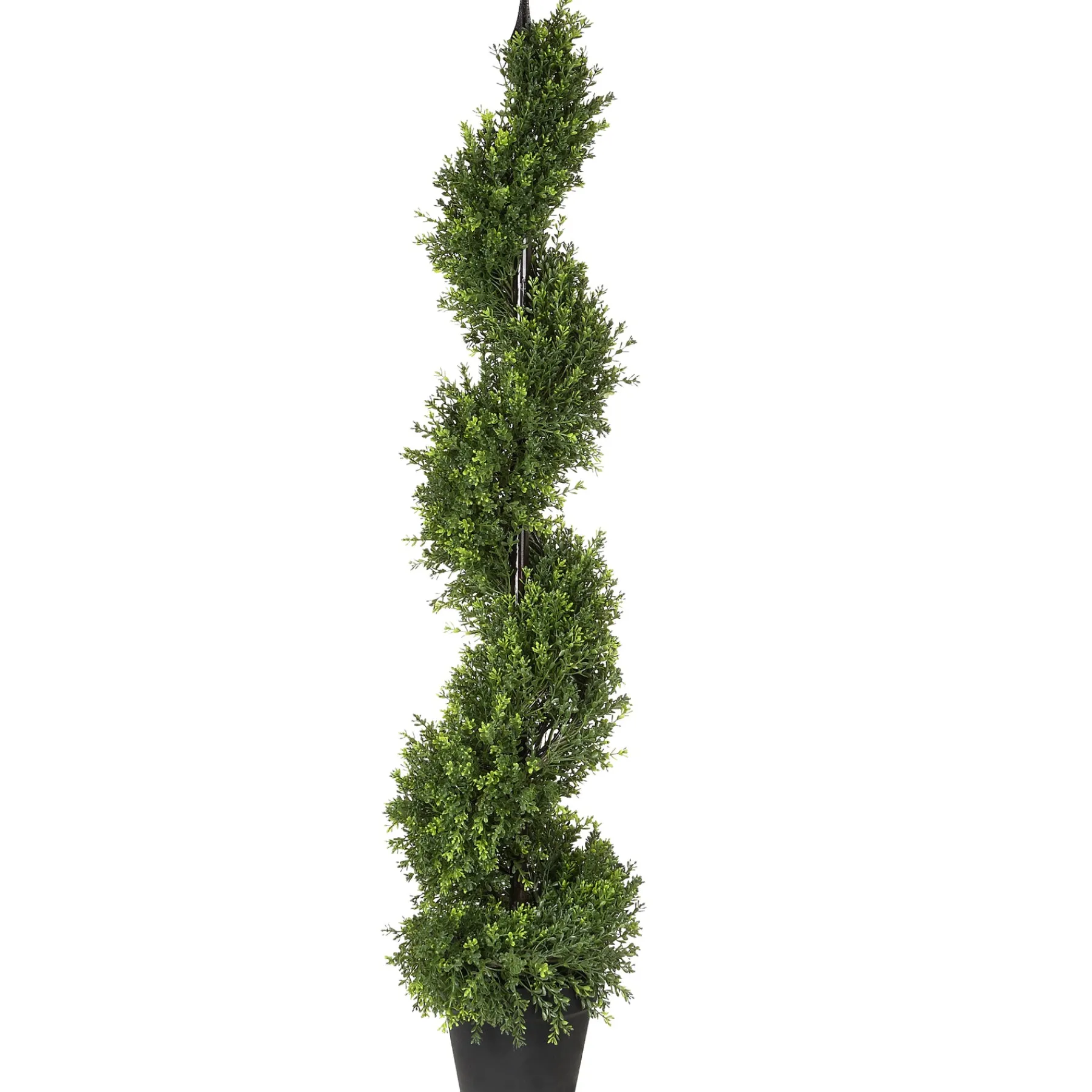 National Tree Company Potted Plants^48" Boxwood Spiral