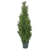 National Tree Company Potted Plants^50" Cedar Tree
