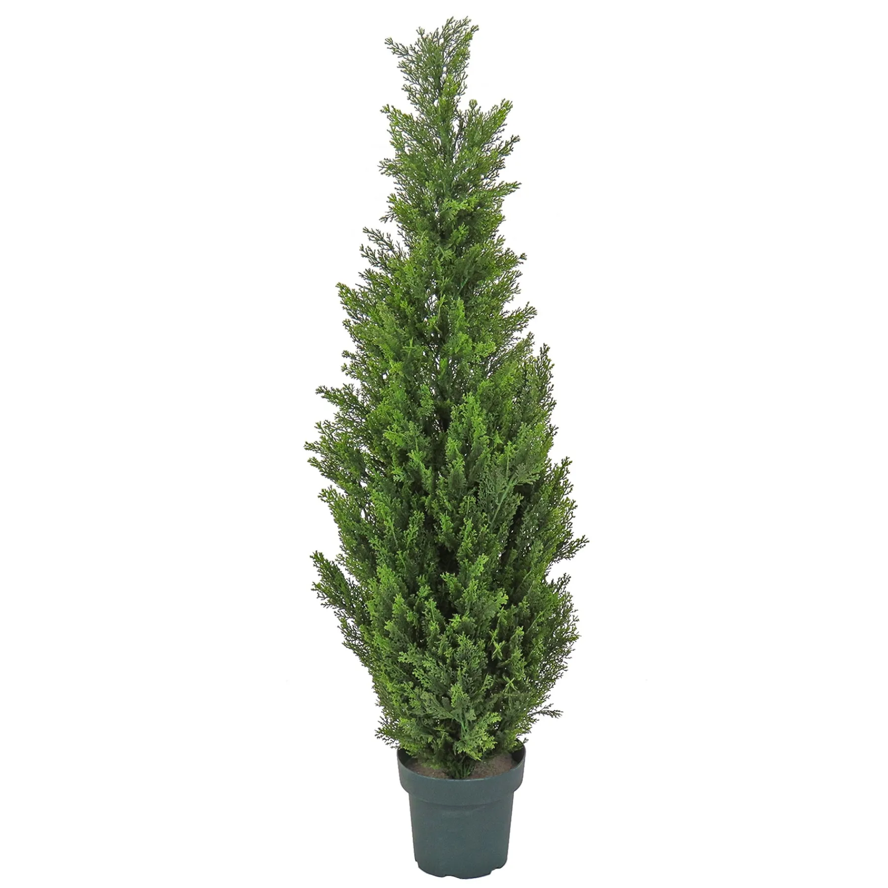 National Tree Company Potted Plants^50" Cedar Tree