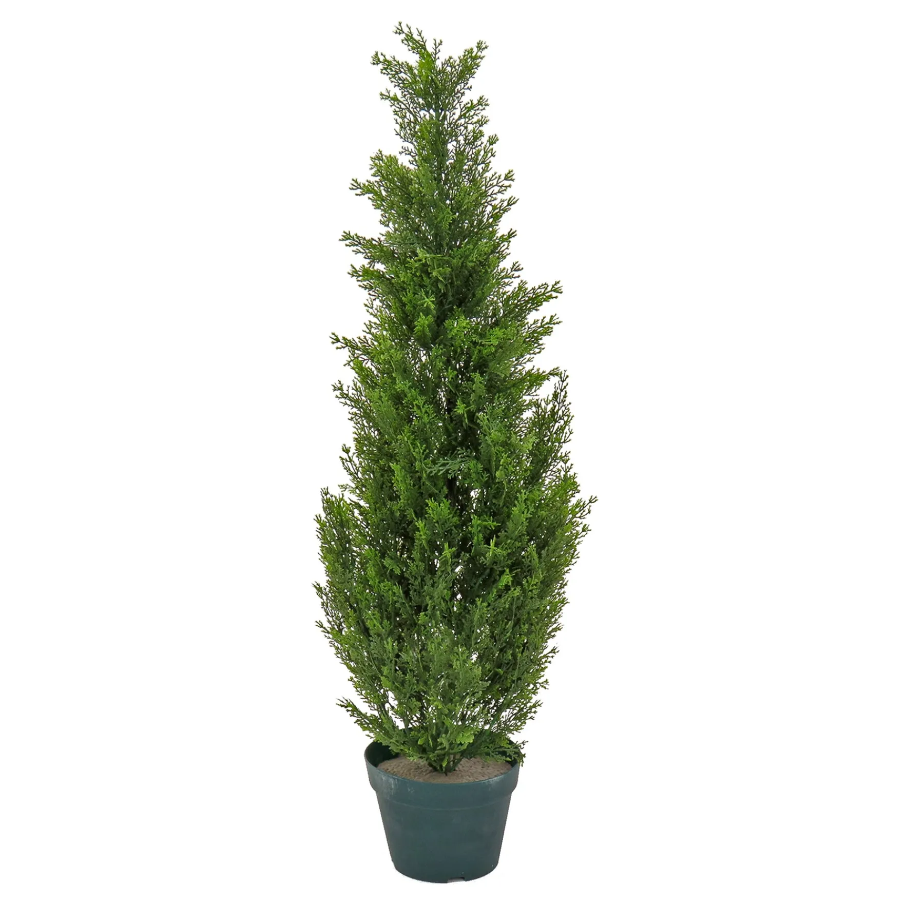 National Tree Company Topiaries / Shurbs^38" Cedar Tree