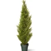 Topiaries / Shurbs-National Tree Company 53" Cedar Tree