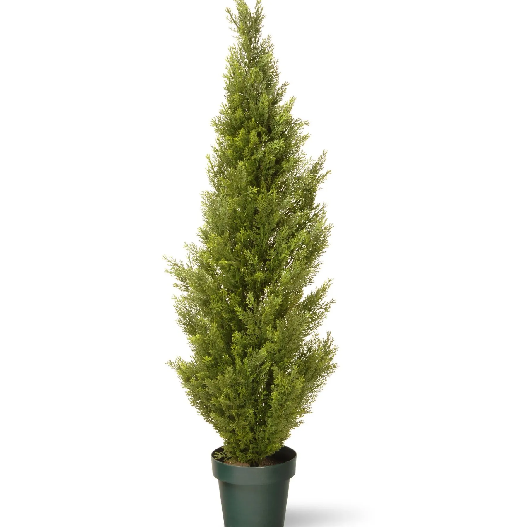 Topiaries / Shurbs-National Tree Company 53" Cedar Tree