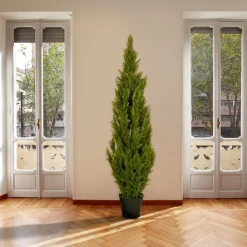 Topiaries / Shurbs-National Tree Company 65" Cedar Tree