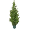 National Tree Company Potted Plants^62" Cedar Tree
