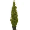 National Tree Company Potted Plants^65" Cedar Tree