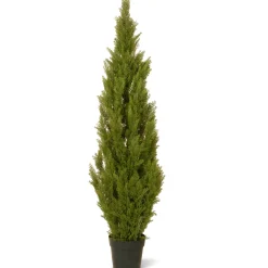 National Tree Company Potted Plants^65" Cedar Tree