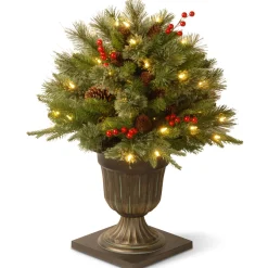 Christmas Greenery-National Tree Company 24" Colonial Porch Bush With Clear Lights