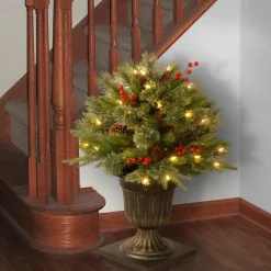Christmas Greenery-National Tree Company 24" Colonial Porch Bush With Clear Lights
