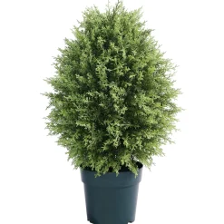 Topiaries / Shurbs-National Tree Company 32" Cypress Tree