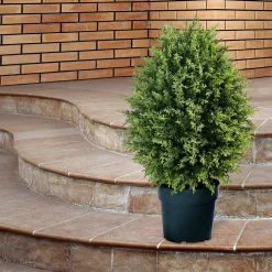 Topiaries / Shurbs-National Tree Company 32" Cypress Tree