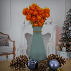 Flower Bouquets-National Tree Company 16" Dried Orange Capeblumen Flowers Bouquet