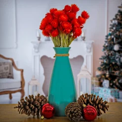 Flower Bouquets-National Tree Company 16" Dried Red Capeblumen Flowers Bouquet