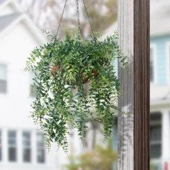 Hanging Plants-National Tree Company 21" Fern Leaves Hanging Basket