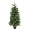 Topiaries / Shurbs-National Tree Company 5 Ft Artificial Cypress Tree In Nursery Pot