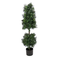 National Tree Company Potted Plants^4 Ft. Boxwood Cone And Ball Topiary In Nursery Pot