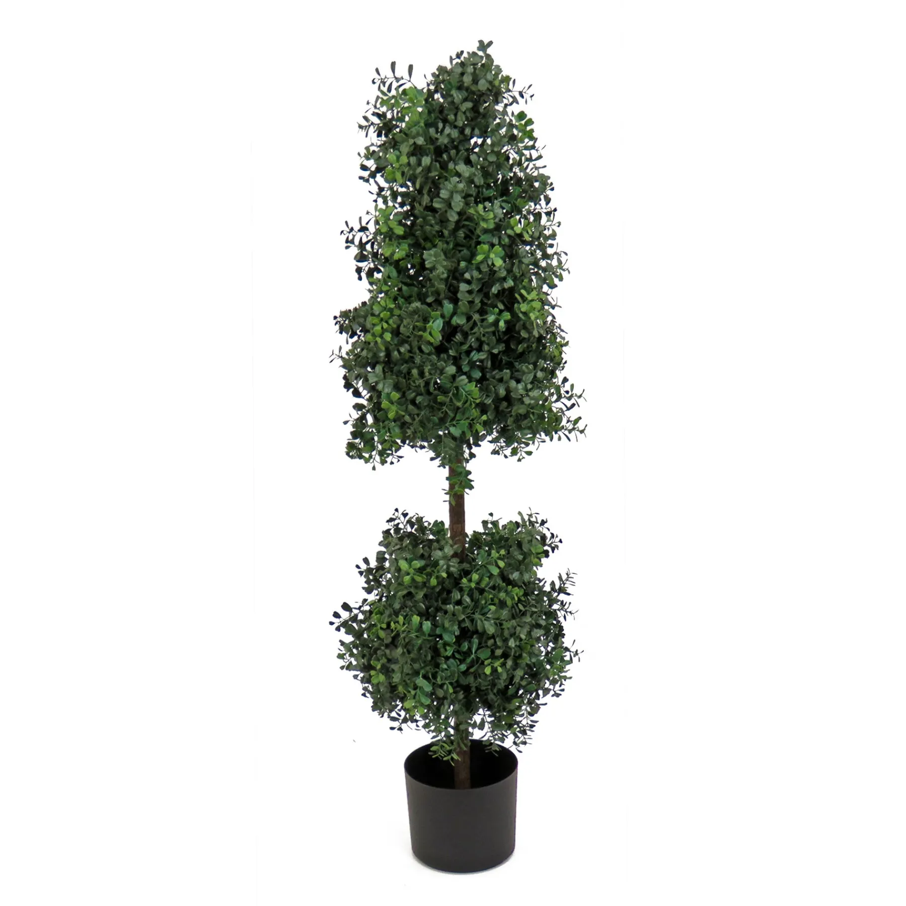 National Tree Company Potted Plants^4 Ft. Boxwood Cone And Ball Topiary In Nursery Pot