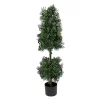Topiaries / Shurbs-National Tree Company 4 Ft. Boxwood Cone And Ball Topiary In Nursery Pot