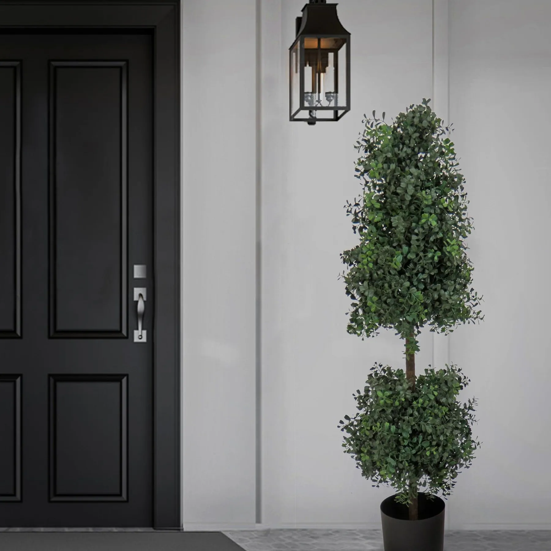 Topiaries / Shurbs-National Tree Company 4 Ft. Boxwood Cone And Ball Topiary In Nursery Pot