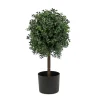 National Tree Company Topiaries / Shurbs^2 Ft. Boxwood Single Ball Topiary In Nursery Pot