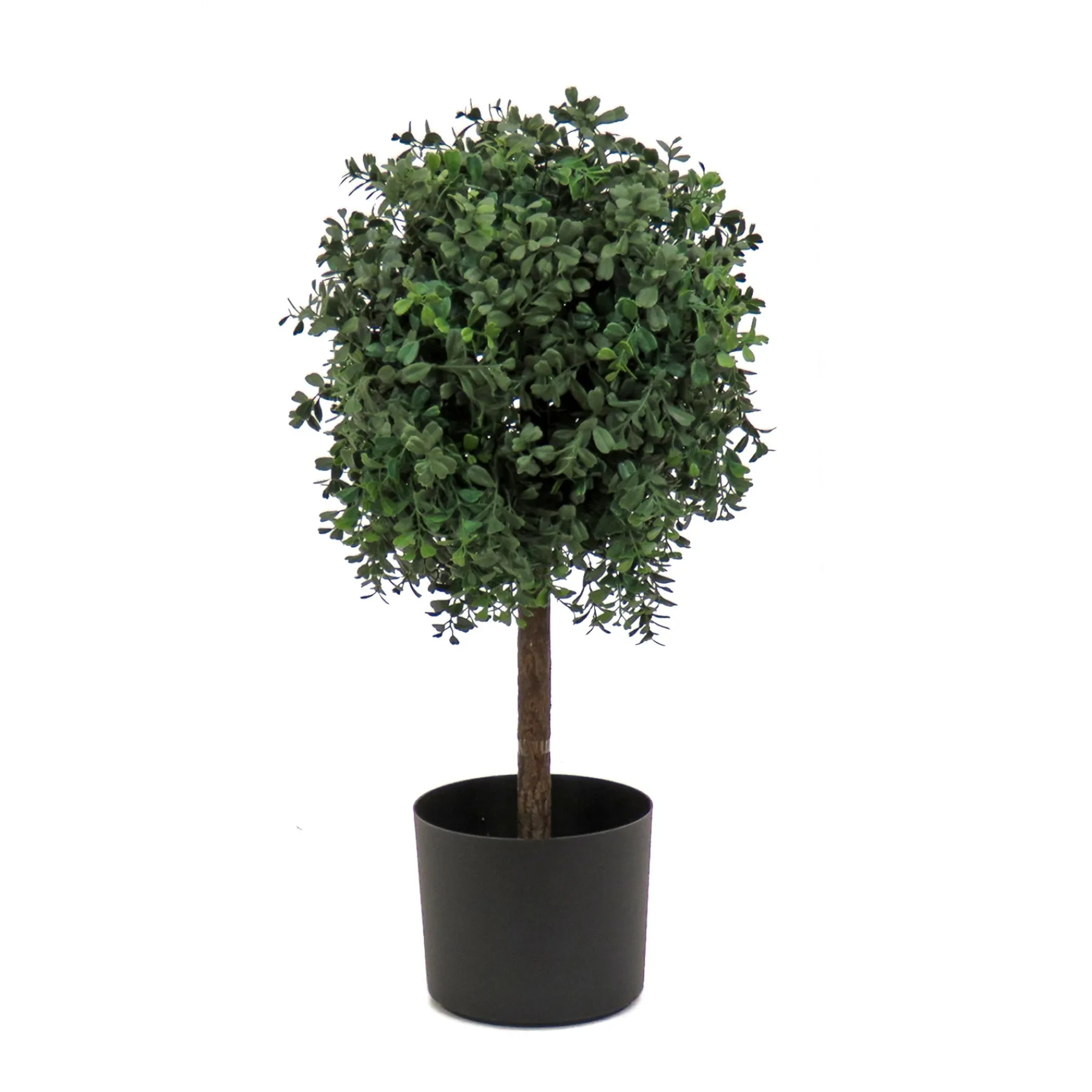 National Tree Company Topiaries / Shurbs^2 Ft. Boxwood Single Ball Topiary In Nursery Pot