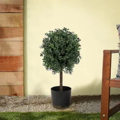 Topiaries / Shurbs-National Tree Company 2 Ft. Boxwood Single Ball Topiary In Nursery Pot