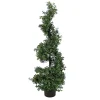 National Tree Company Potted Plants^4 Ft. Boxwood Spiral Topiary In Nursery Pot