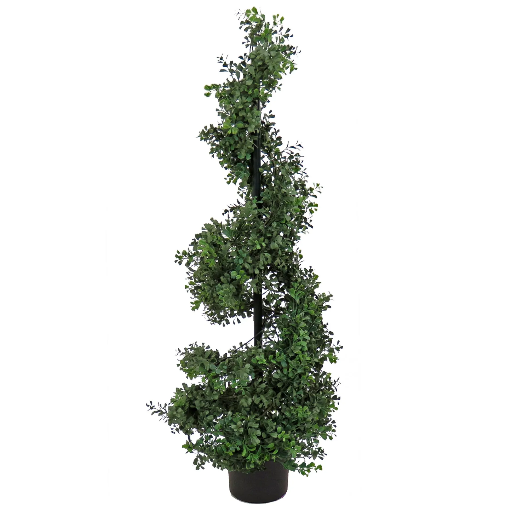 National Tree Company Potted Plants^4 Ft. Boxwood Spiral Topiary In Nursery Pot