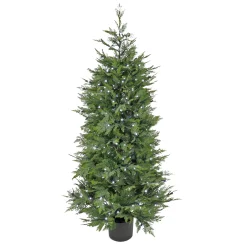 National Tree Company Topiaries / Shurbs^5 Ft. Cypress Tree With Multi-Function Led Lights