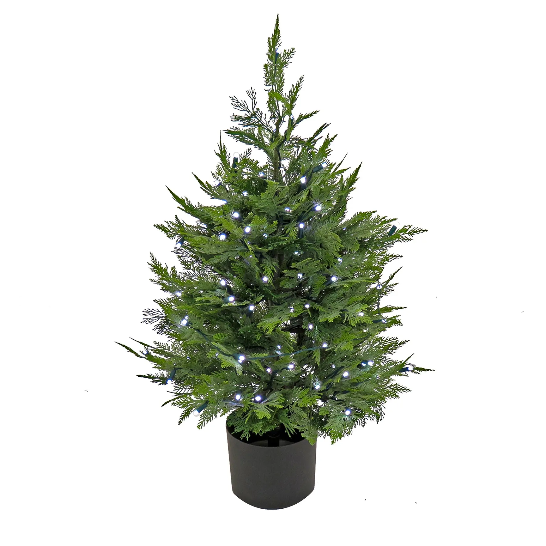 National Tree Company Potted Plants^3 Ft. Cypress Tree With Multi-Function Led Lights